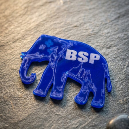 bsp logo